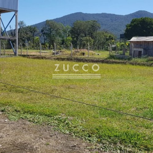 �timo Terreno no Sert�o do Trombudo