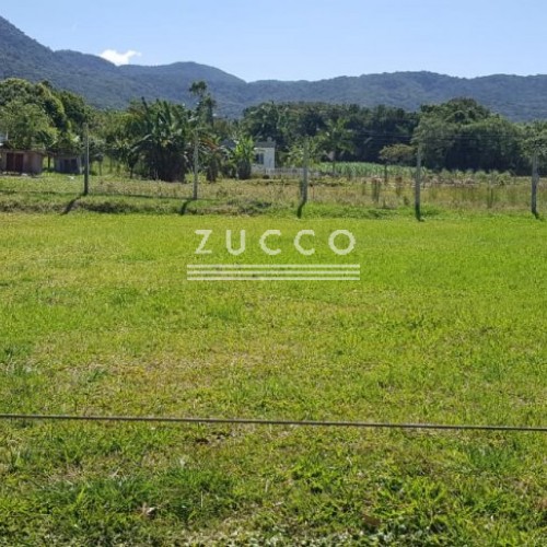 �timo Terreno no Sert�o do Trombudo